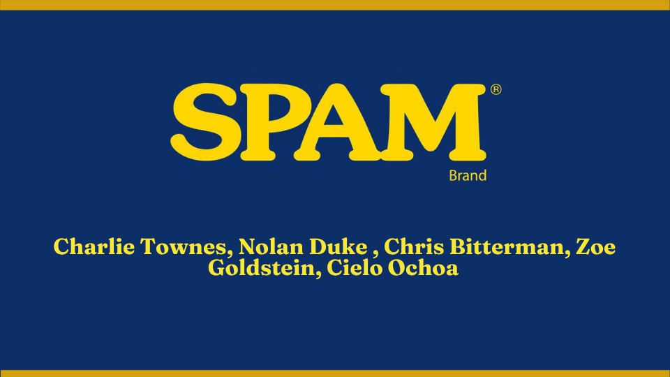 Book cover titled 'SPAM' in large yellow text on a dark blue background, with a yellow border at the top and bottom. Authors listed: Charlie Townes, Nolan Duke, Chris Bitterman, Zoe Goldstein, Cielo Ochoa.