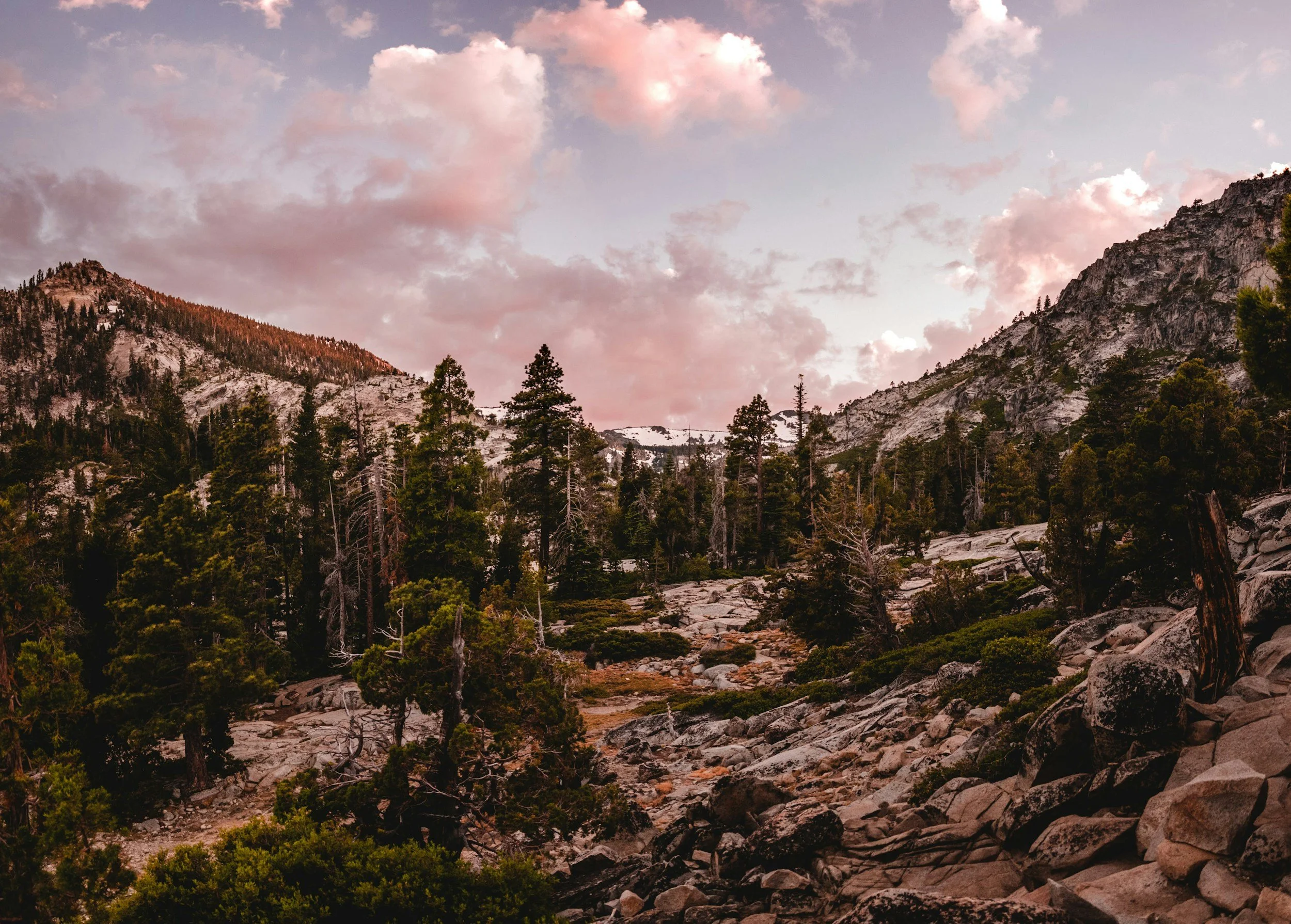 Scenic view of a mountainous landscape with rocky slopes, green pine trees, and a sky with pink and white clouds at sunset or sunrise.