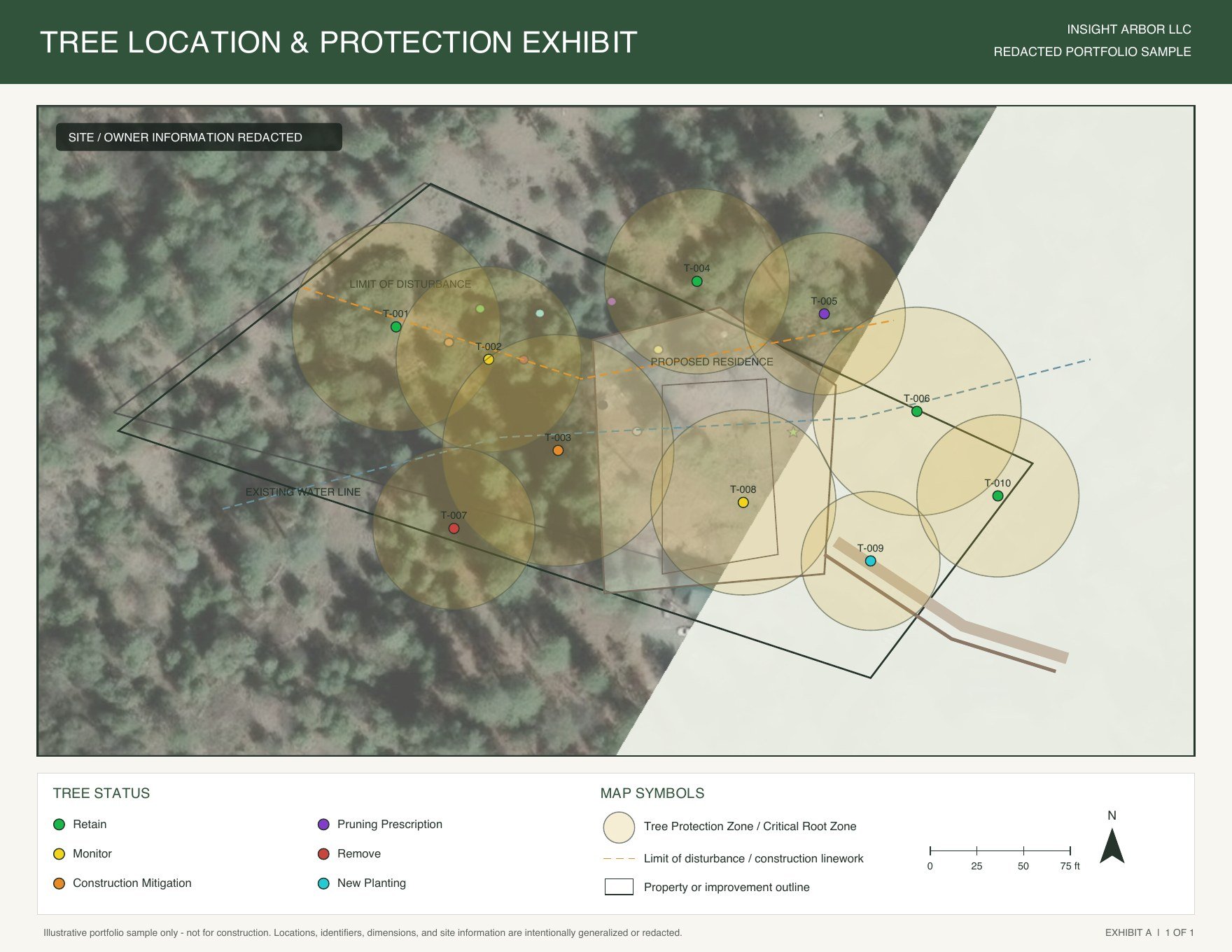 Residential Tree Protection Planning: A Holly Drive Project