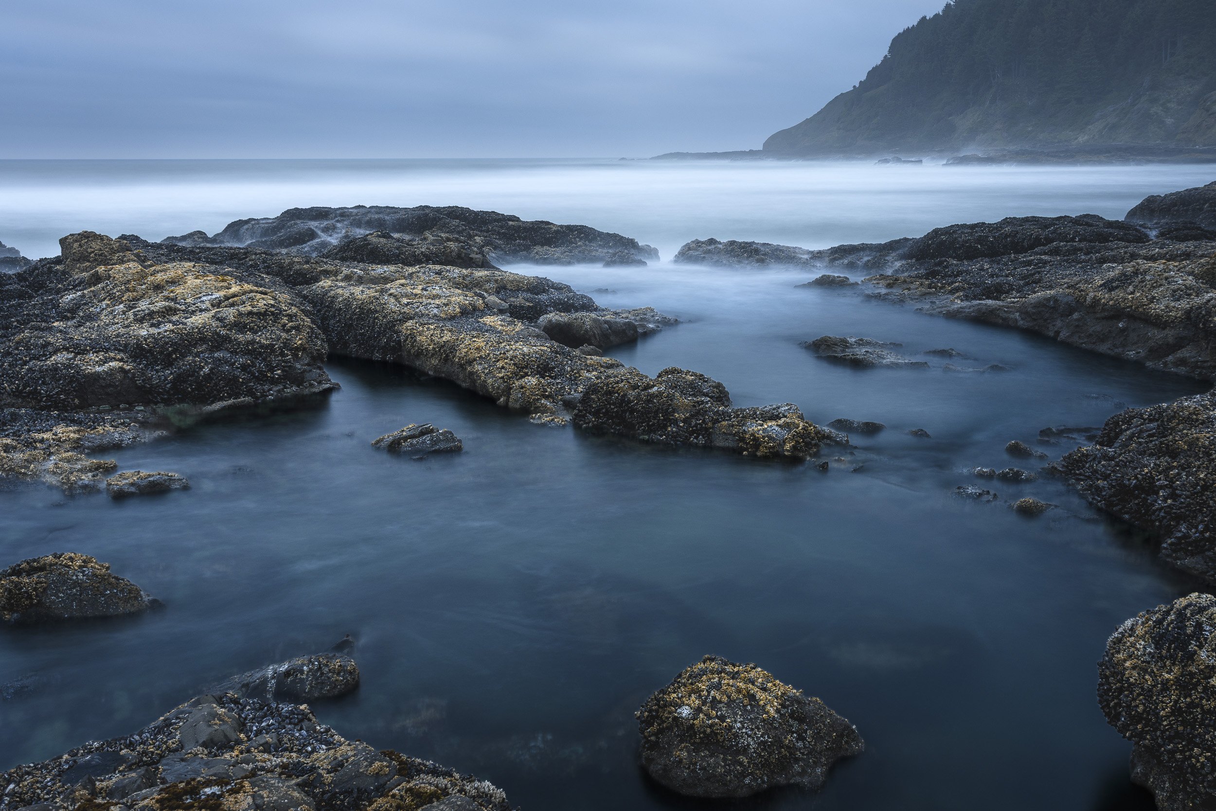 Blue Hour at Cape Perpetual