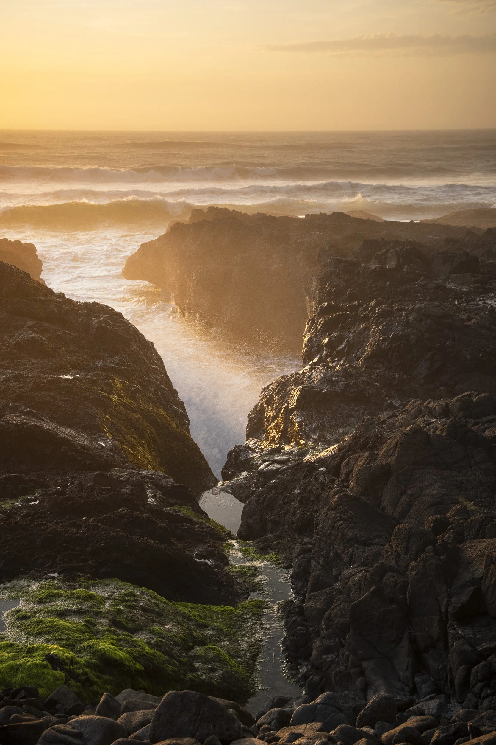 Golden Light, Cape Perpetua