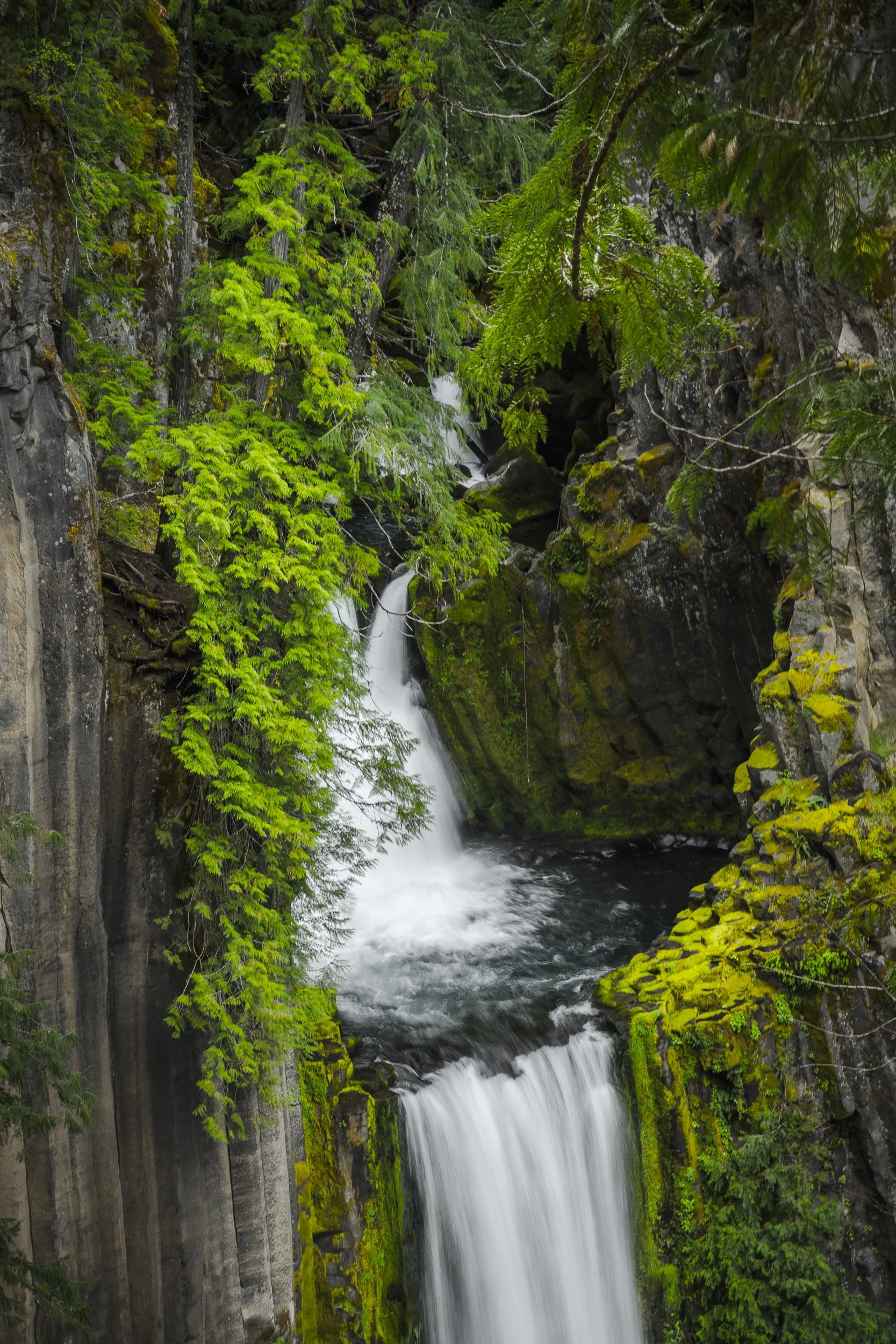 Toketee Falls