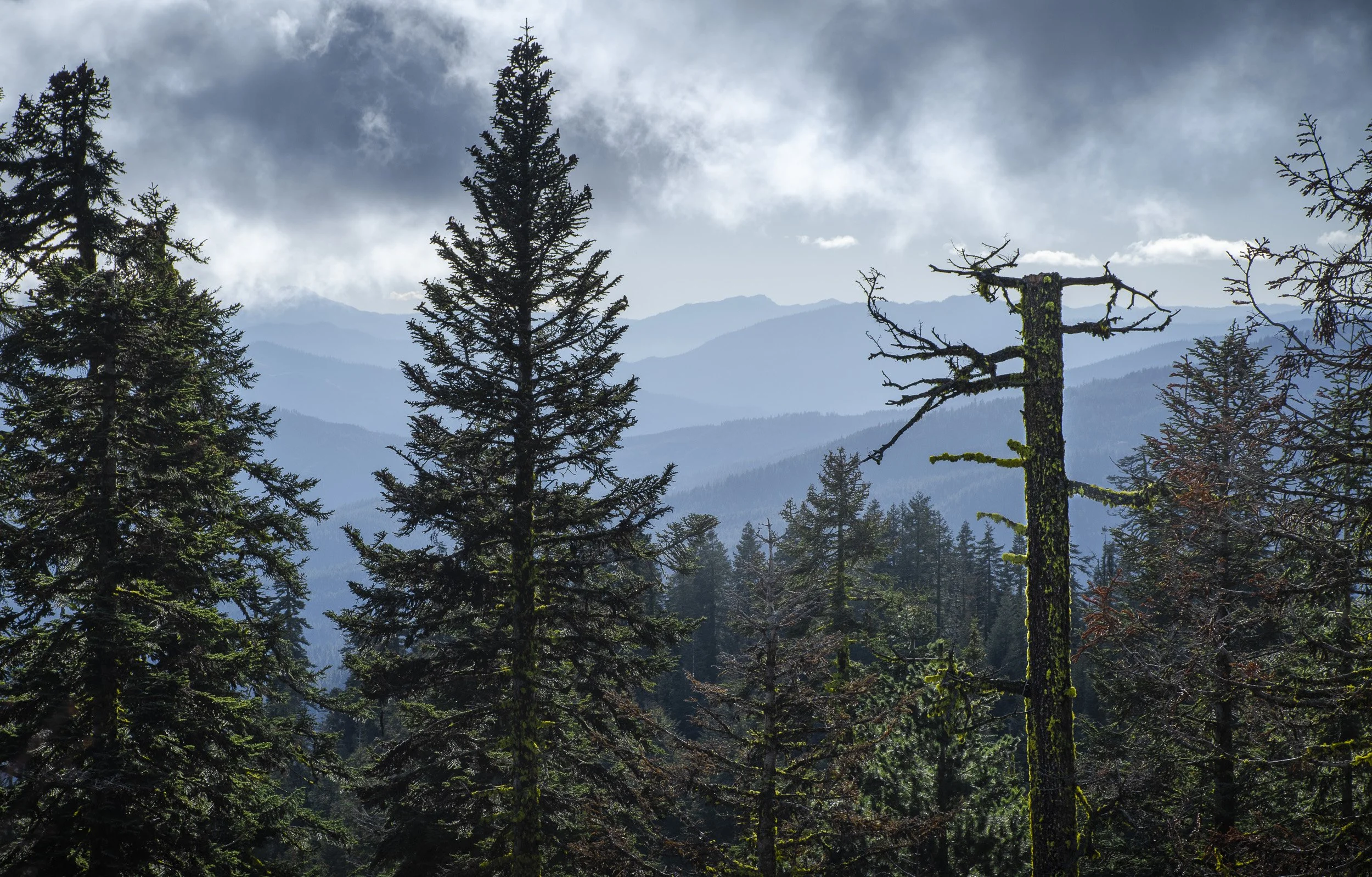Layered Syskiyou, Mt. Ashland
