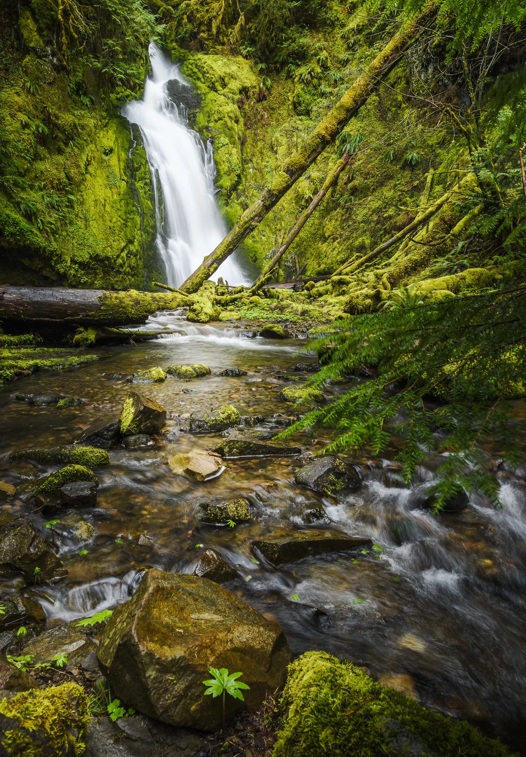 Hemlock Falls