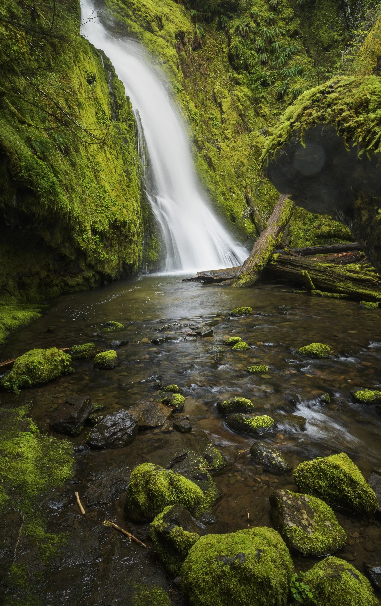 Hemlock Falls