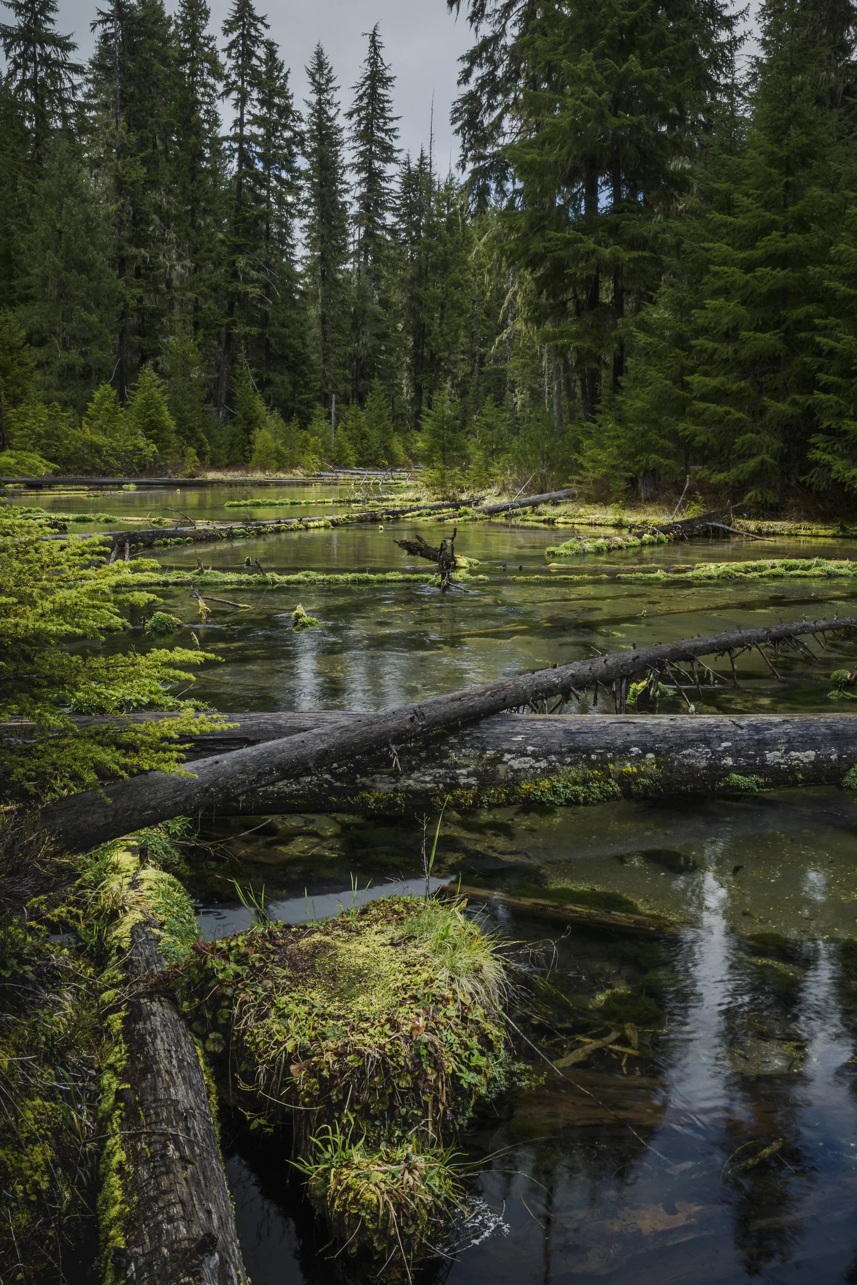 Clearwater Creek
