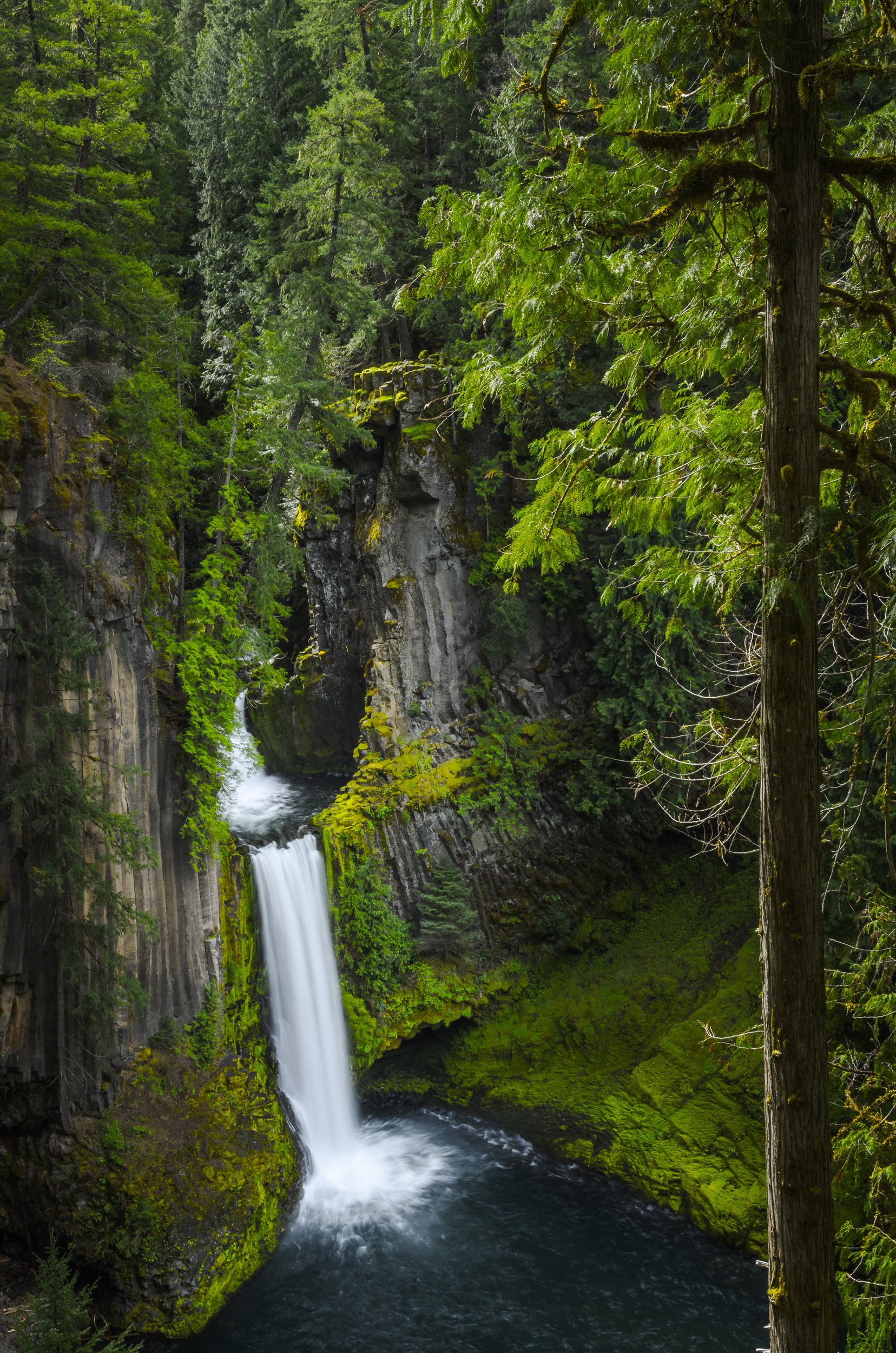 Toketee Falls