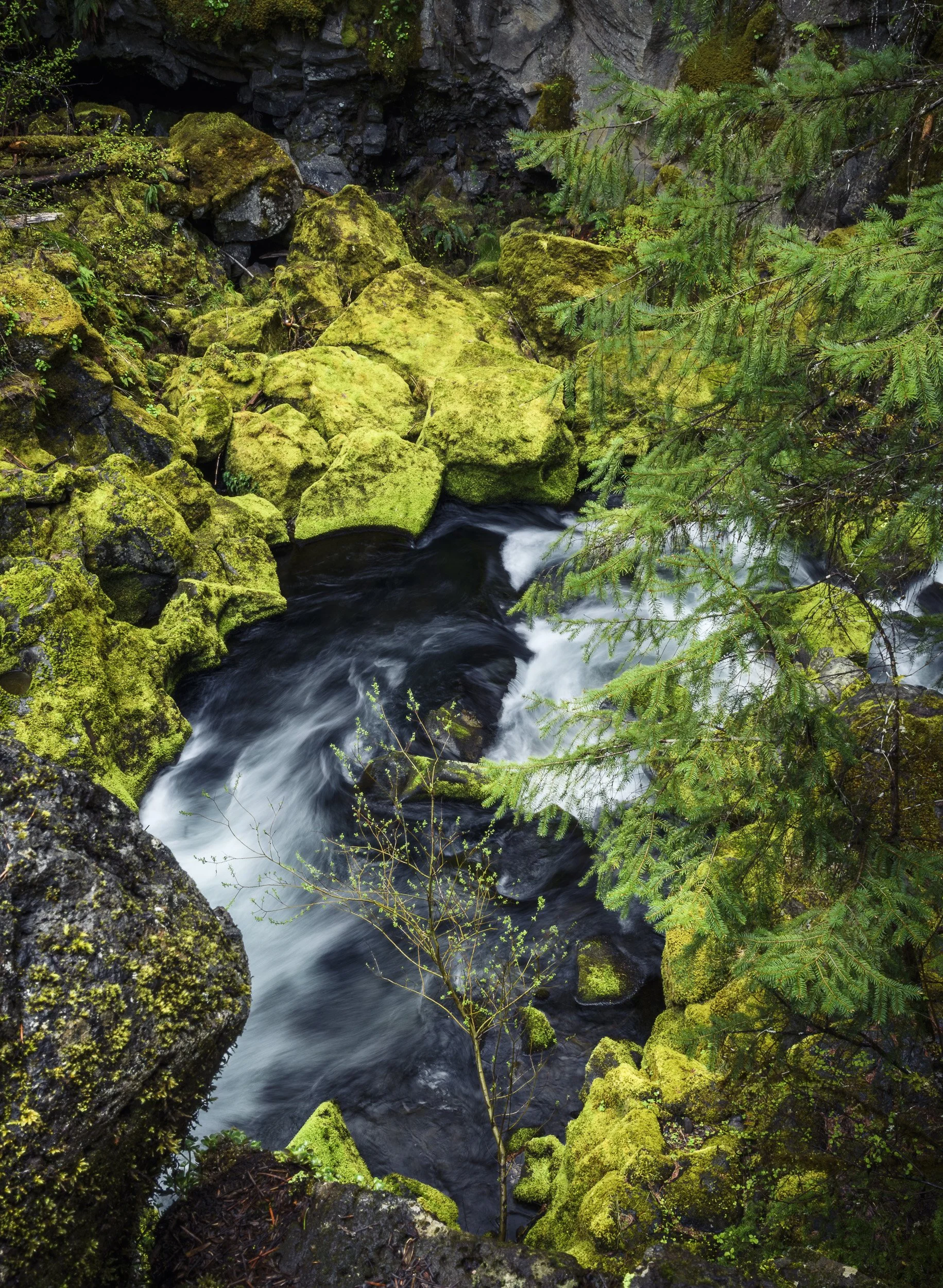 North Umpqua River