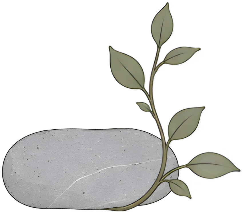 Decorative stone with a small green leafy branch growing around it for Pillar Psychology with Dr. Katie Meier in New Jersey.