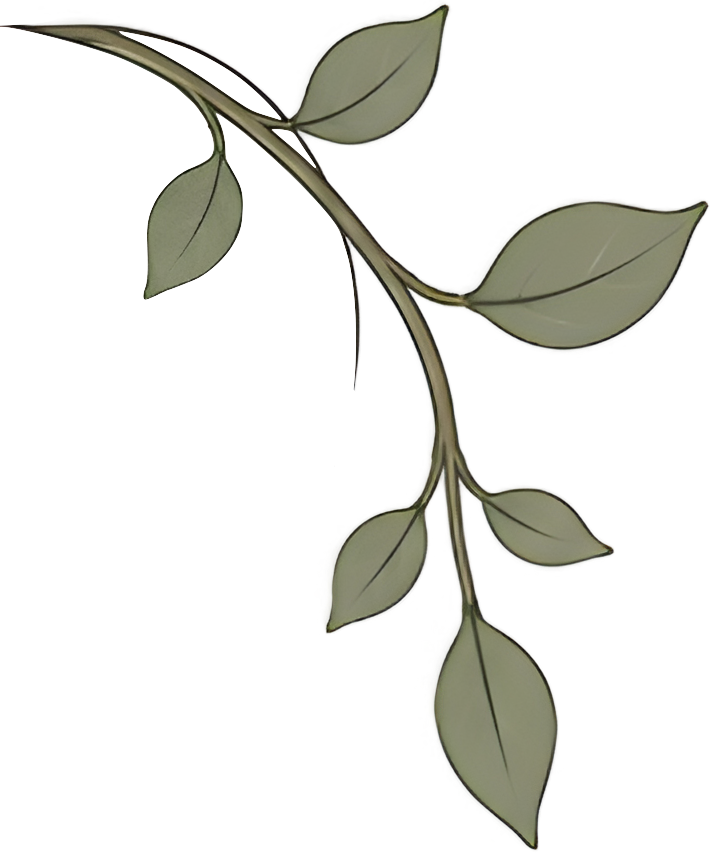 Decorative leafy branch for Pillar Psychology with Dr. Katie Meier, a therapist in New Jersey.