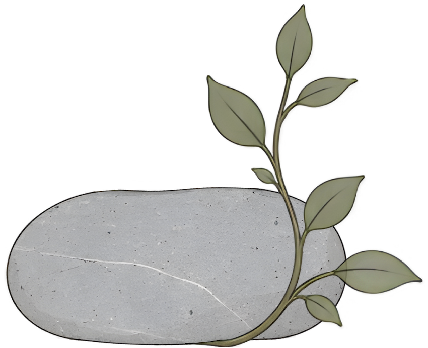 Decorative stone with a small green leafy branch growing around it for Pillar Psychology with Dr. Katie Meier, a therapist in New Jersey.