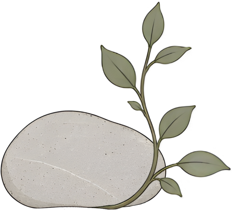 Decorative stone with a small green leafy branch growing around it for Pillar Psychology with Dr. Katie Meier in New Jersey.