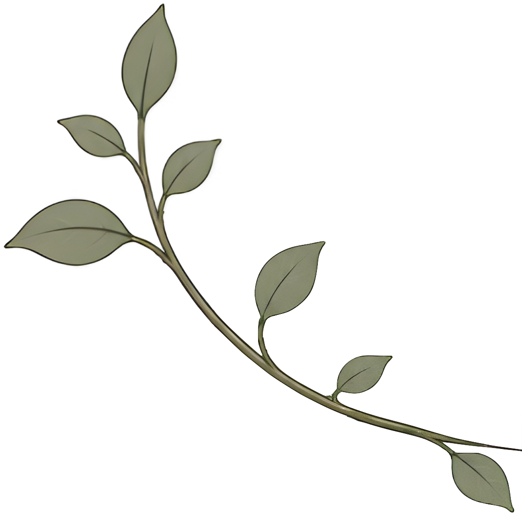 Decorative leafy branch for Pillar Psychology with Dr. Katie Meier, a therapist in New Jersey.