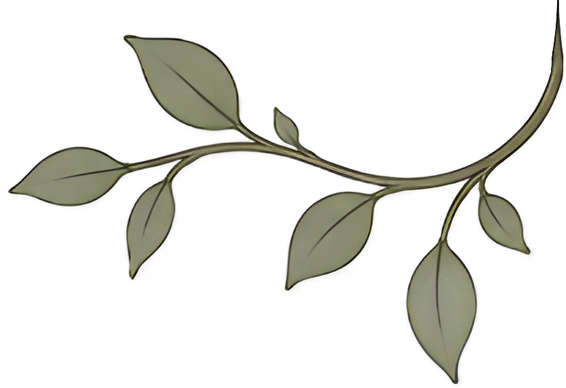 Decorative branch with leaves for Pillar Psychology.