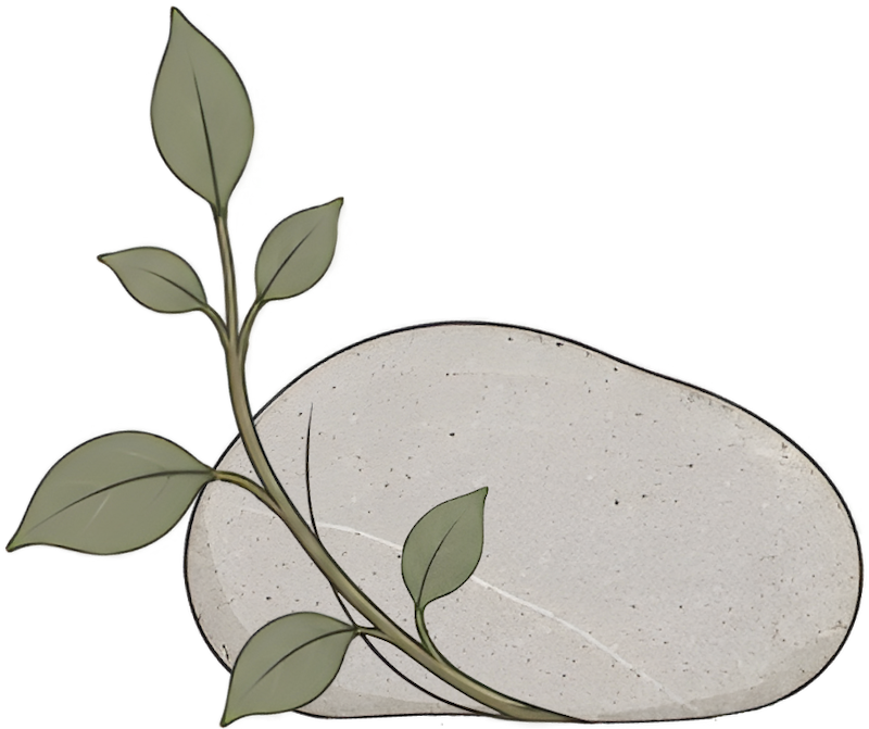 Decorative stone with a small green leafy branch growing around it for Pillar Psychology with Dr. Katie Meier, a therapist in New Jersey.