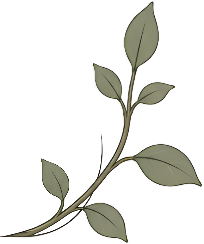 decorative leafy branch for Pillar Psychology with Dr. Katie Meier in New Jersey.