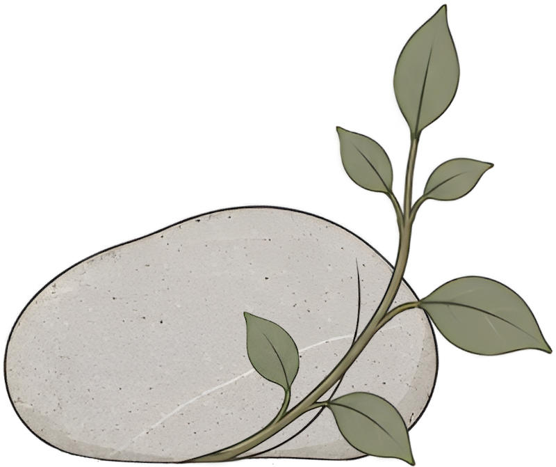 Decorative stone with a small green leafy branch growing around it for Pillar Psychology with Dr. Katie Meier, a therapist in New Jersey.