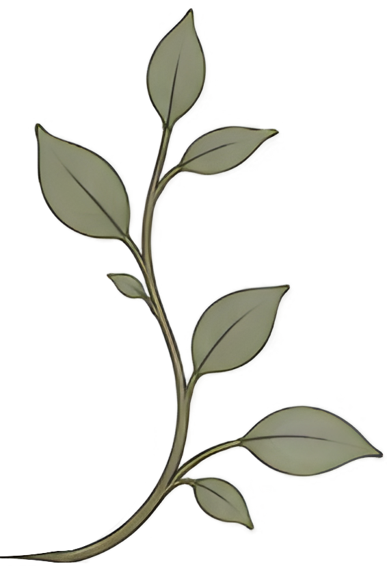 Decorative leafy branch for Pillar Psychology with Dr. Katie Meier, a therapist in New Jersey.