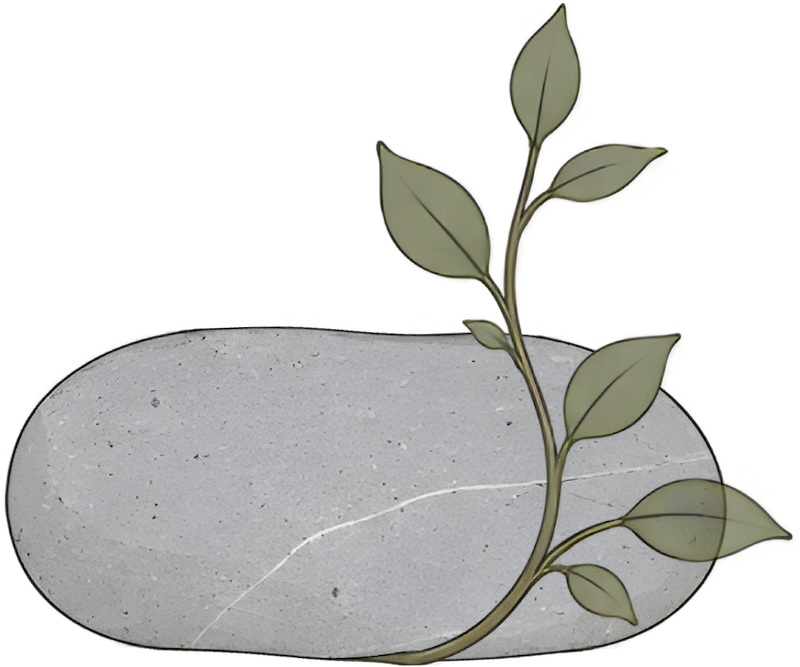 Decorative stone with a small green leafy branch growing around it for Pillar Psychology with Dr. Katie Meier, a therapist in New Jersey.
