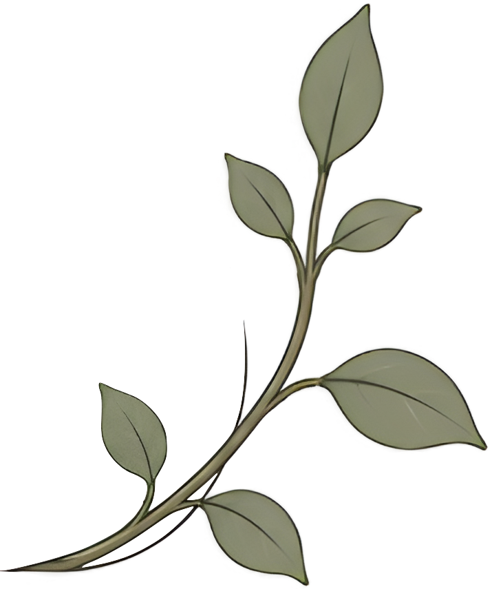 Decorative leafy branch for Pillar Psychology with Dr. Katie Meier, a therapist in New Jersey.