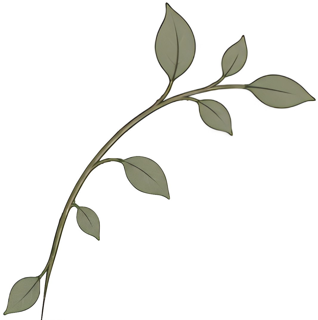 Decorative leafy branch for Pillar Psychology with Dr. Katie Meier, a therapist in New Jersey.