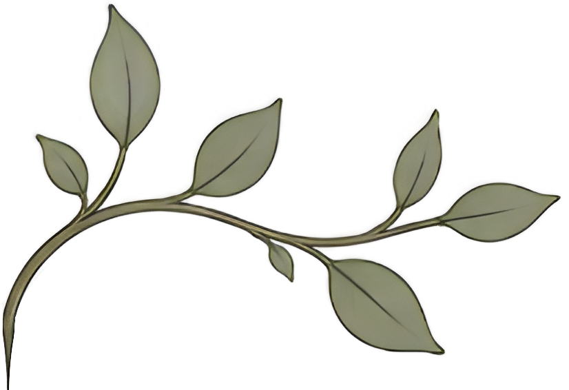 Decorative branch with leaves for Pillar Psychology.