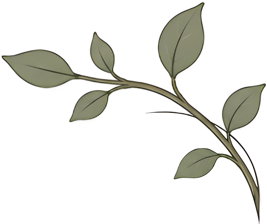 Decorative branch with leaves for Pillar Psychology.