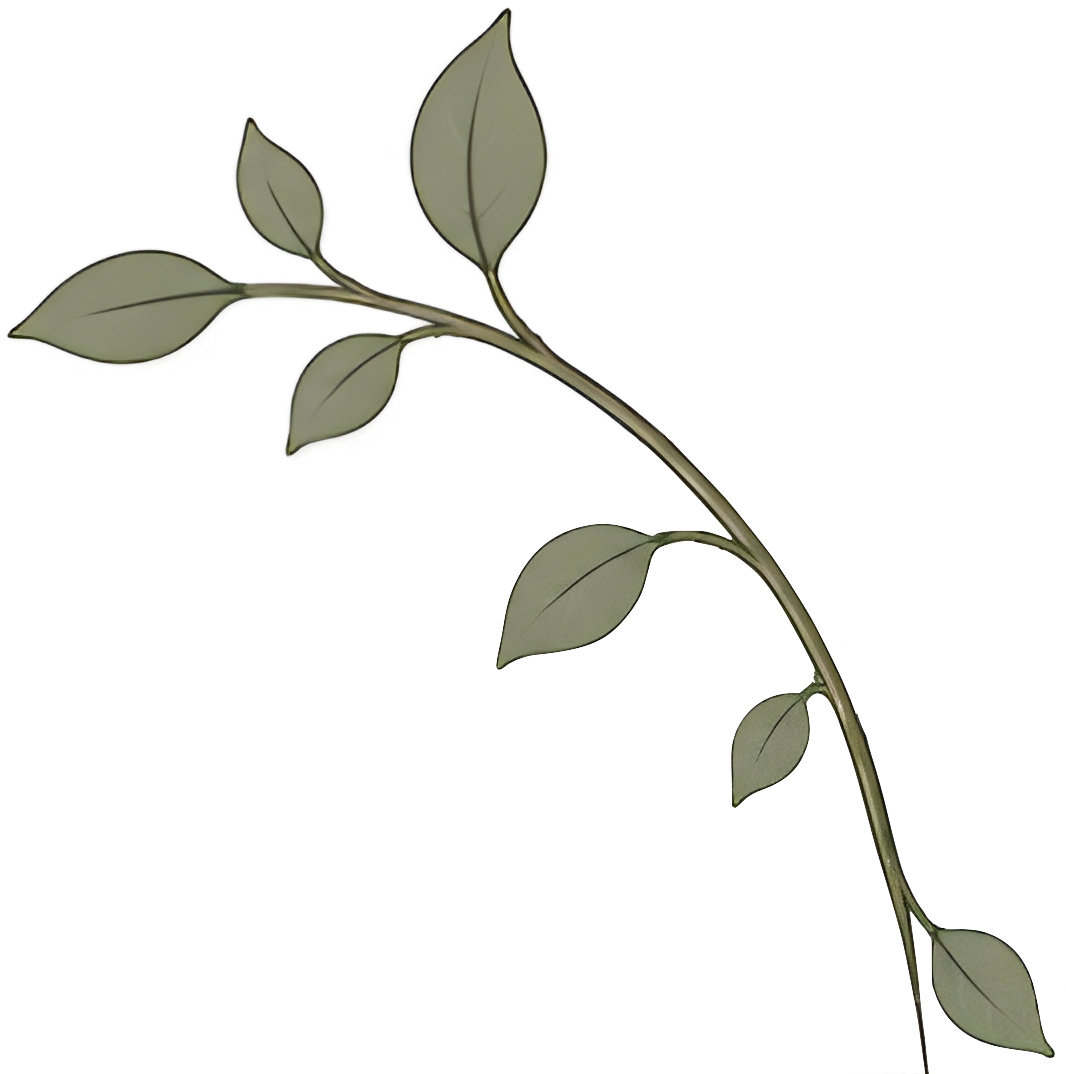 Decorative leafy branch for Pillar Psychology with Dr. Katie Meier, a therapist in New Jersey.