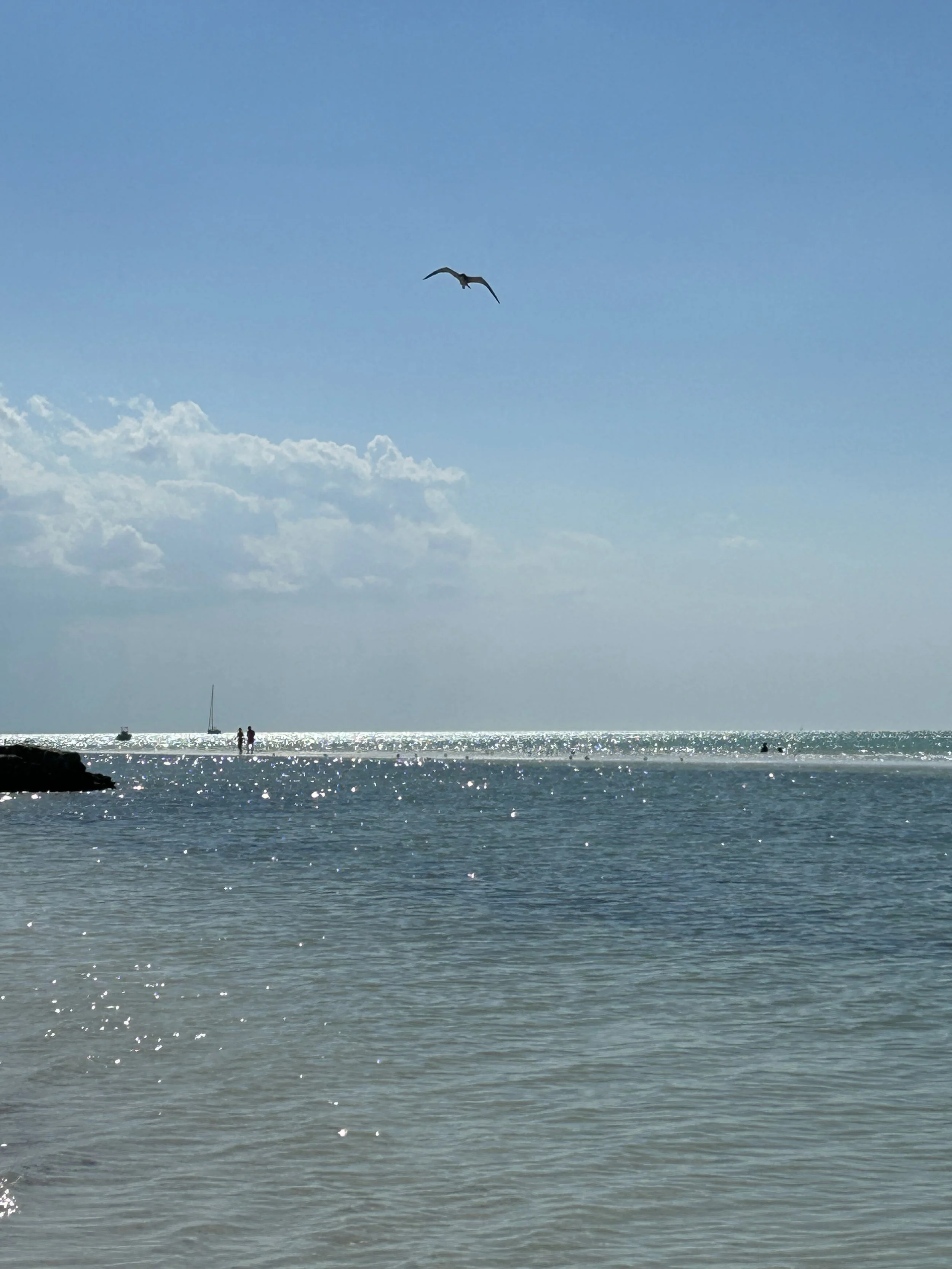 IMG_4644.jpeg