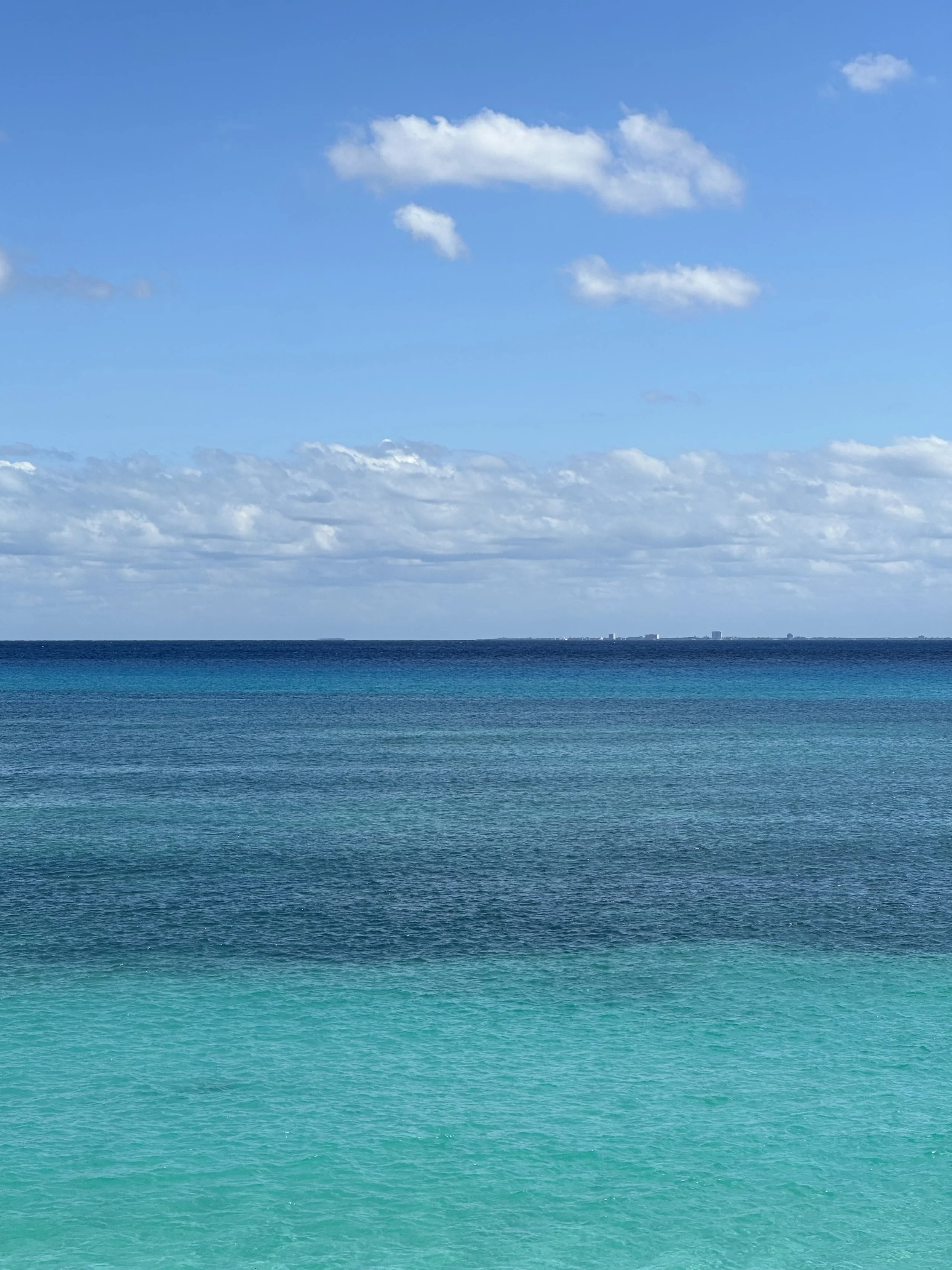 IMG_9229 (1).jpeg