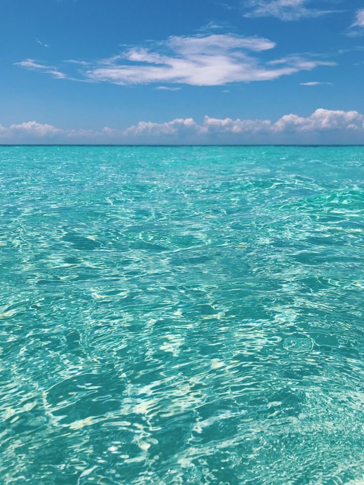 Playa El Cielo Cozumel_ The Reset Club.jpeg