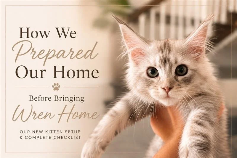 How We Prepared Our HoUSE Before Bringing Wren ISADORA Home - Our Complete New Kitten Setup &amp; Checklist for a Smooth Transition