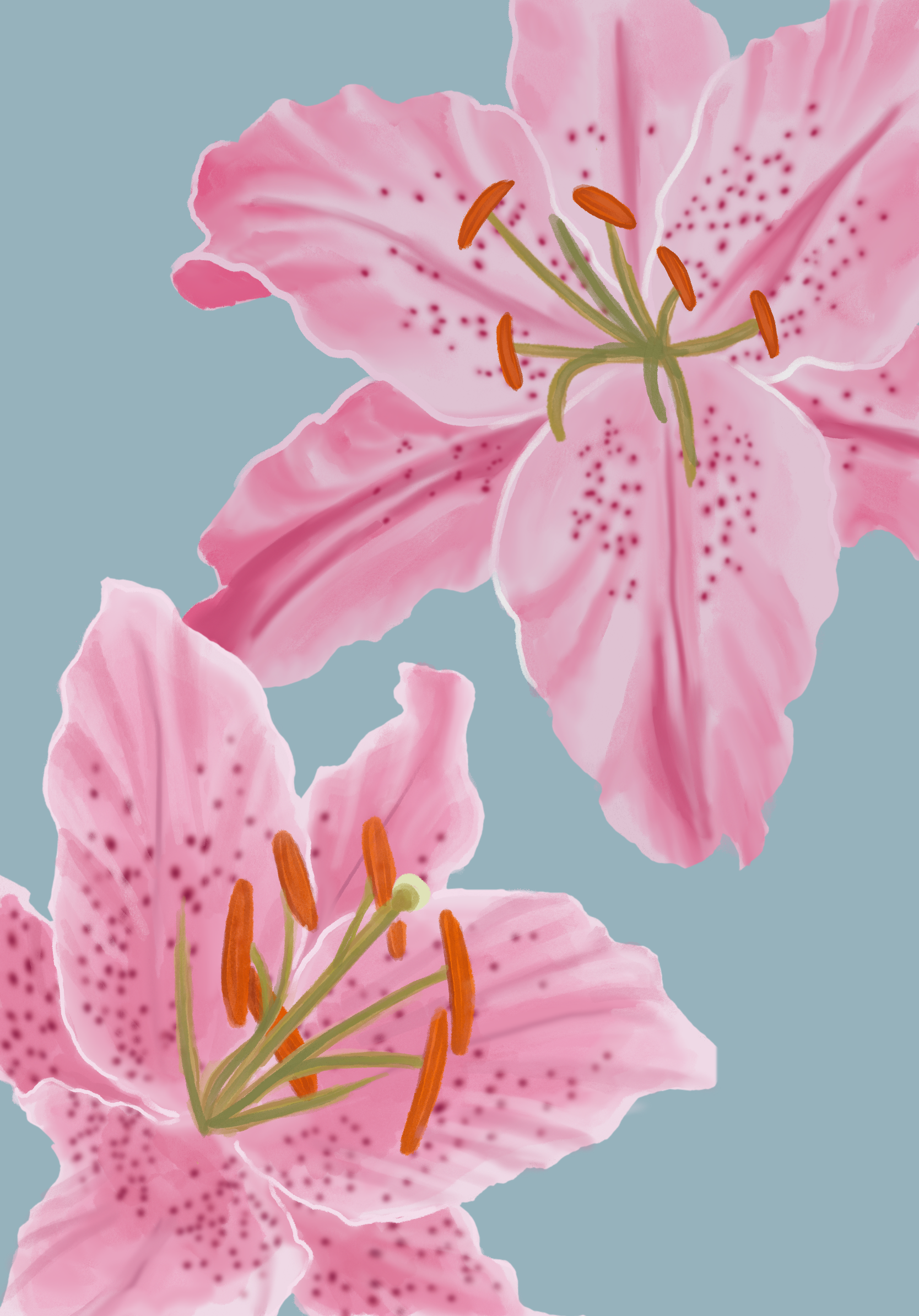 Untitled_Artwork 25.png