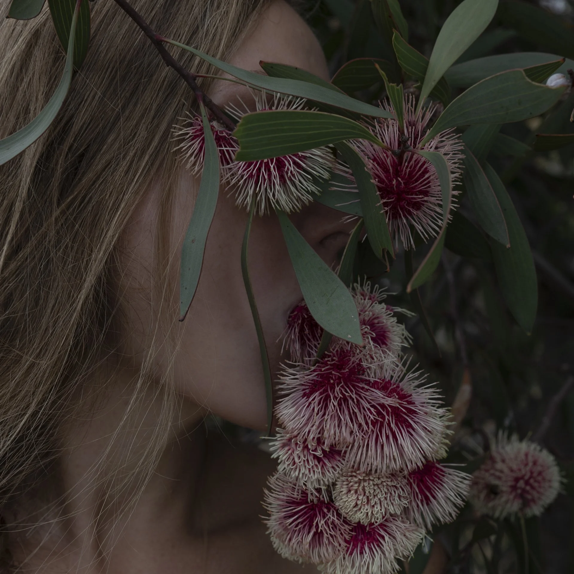 a_fools_paradise_hailey_lane.jpg