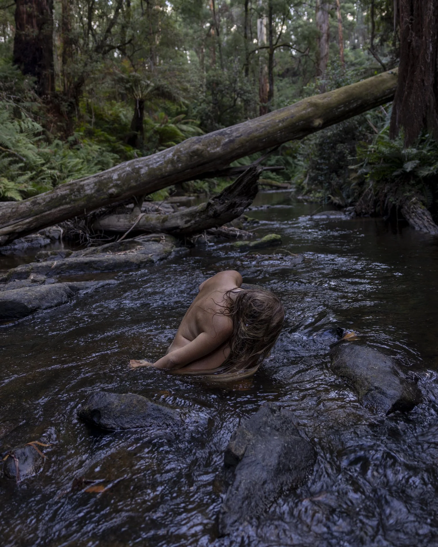 river_and_stone_hailey_lane.jpg