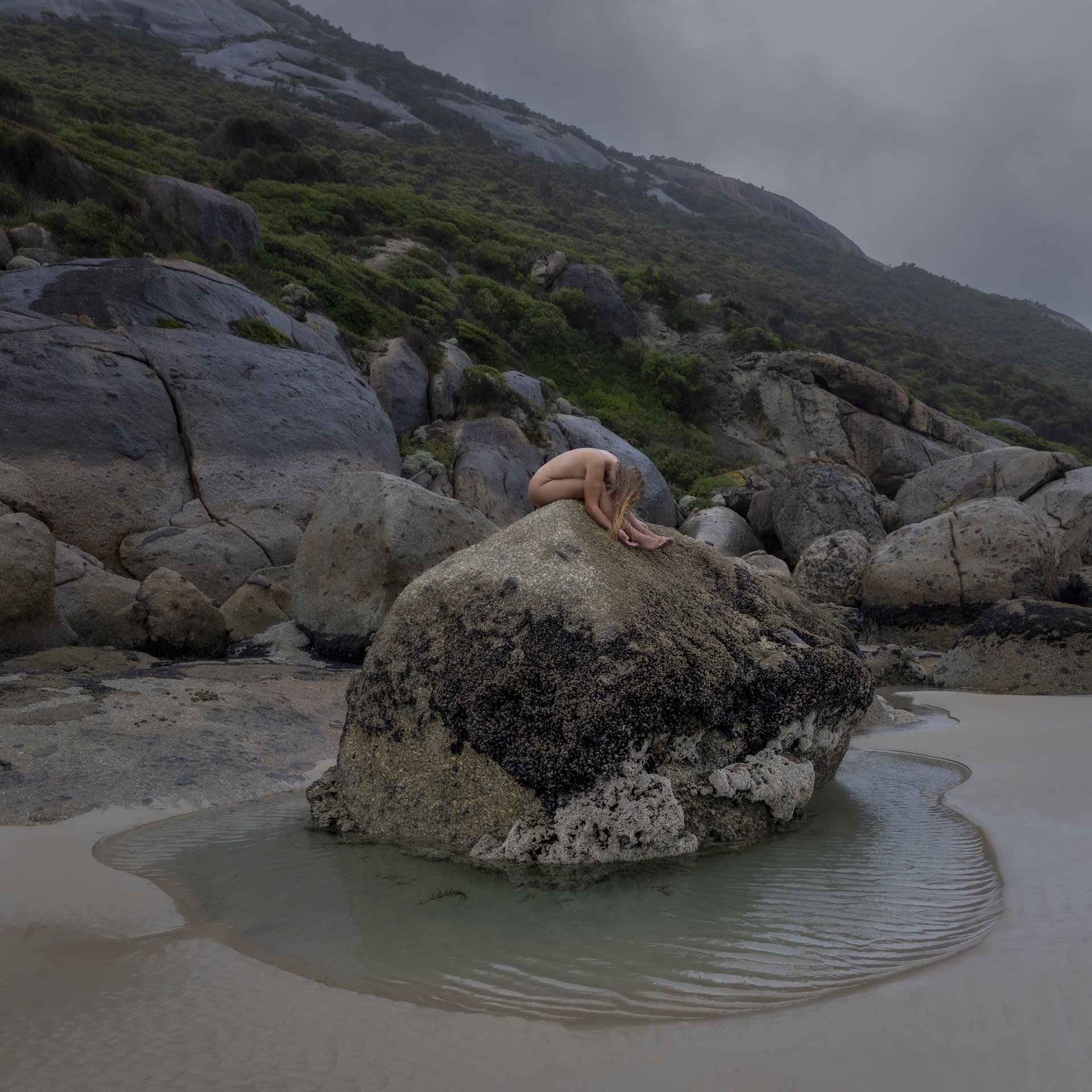 intertidal_hailey_lane.jpg