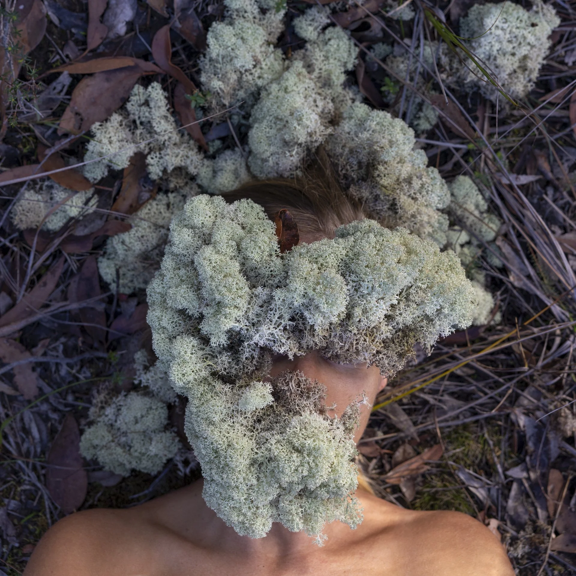 composite_organism_hailey_lane.jpg