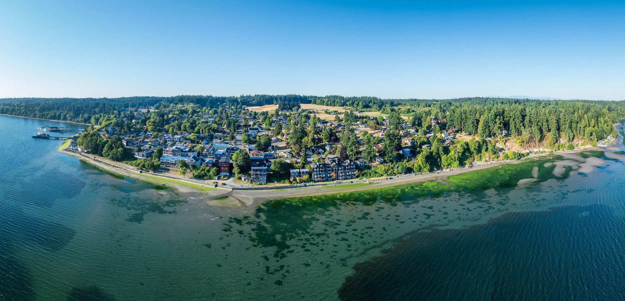Aerial view of a coastal neighborhood with houses, trees, and a waterfront with docks and boats.
