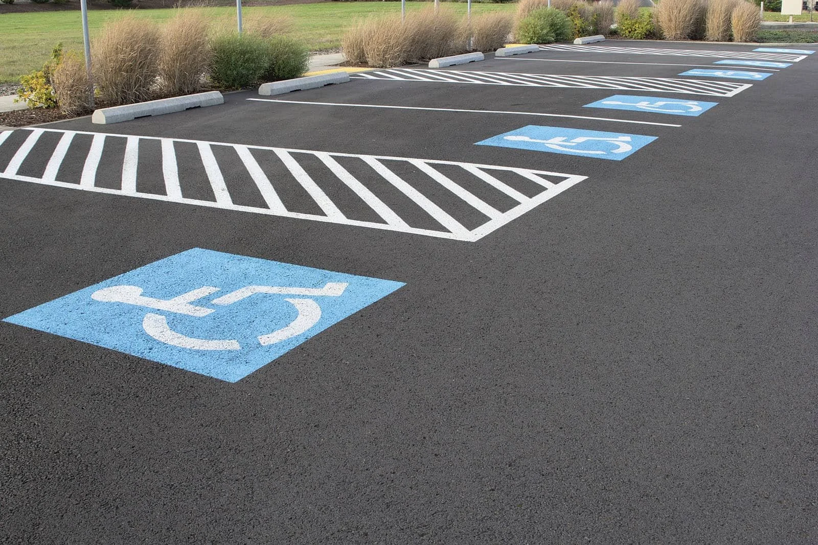A parking lot with designated handicapped parking spaces marked by blue painted symbols of a person in a wheelchair and white lines. Some curb stops and striped area for towing are visible.