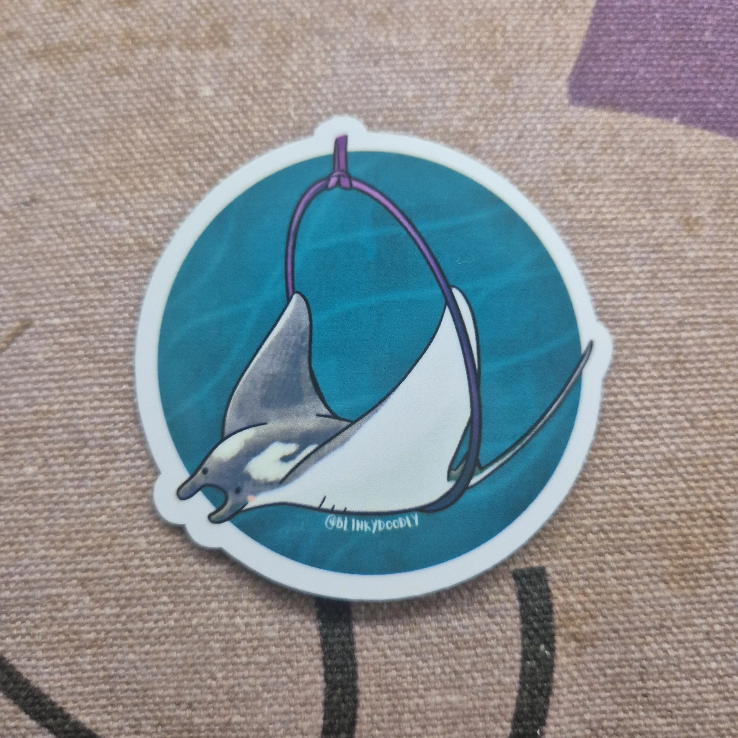 Aerial Hoop Stickers