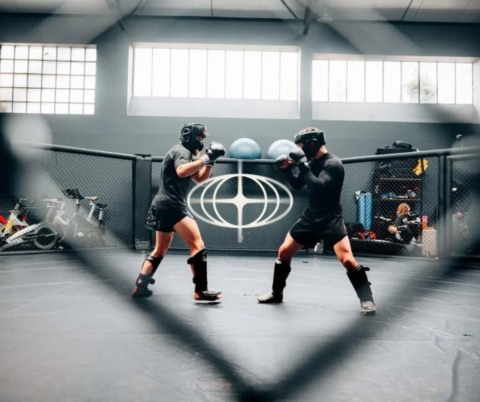 Deux personnes portant des équipements de mma en position de combat dans un cercle d'entraînement à l'intérieur d'une cage de sport