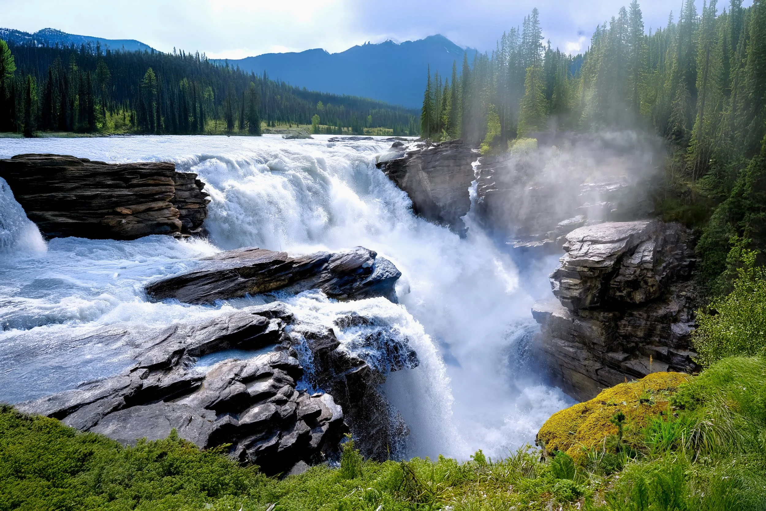 A river with a small waterfall flowing through a forested landscape with tall pine trees and mountains in the background.