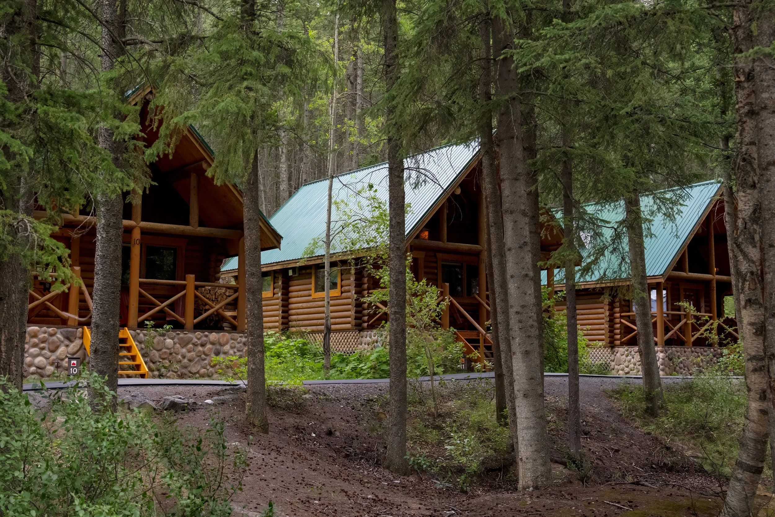 A log cabin with a green metal roof is nestled among tall evergreen trees in a forested area.