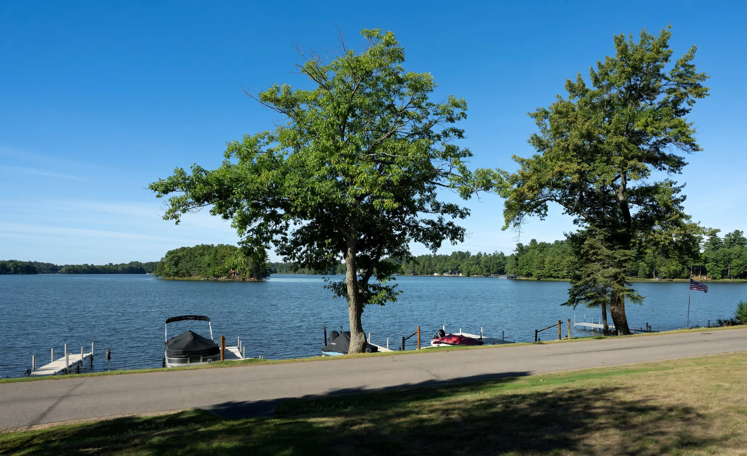 A lakeside scene with two trees in the foreground, a boat dock with boats, and a flagpole with an American flag, with a calm lake and a forested shoreline in the background under a clear blue sky.