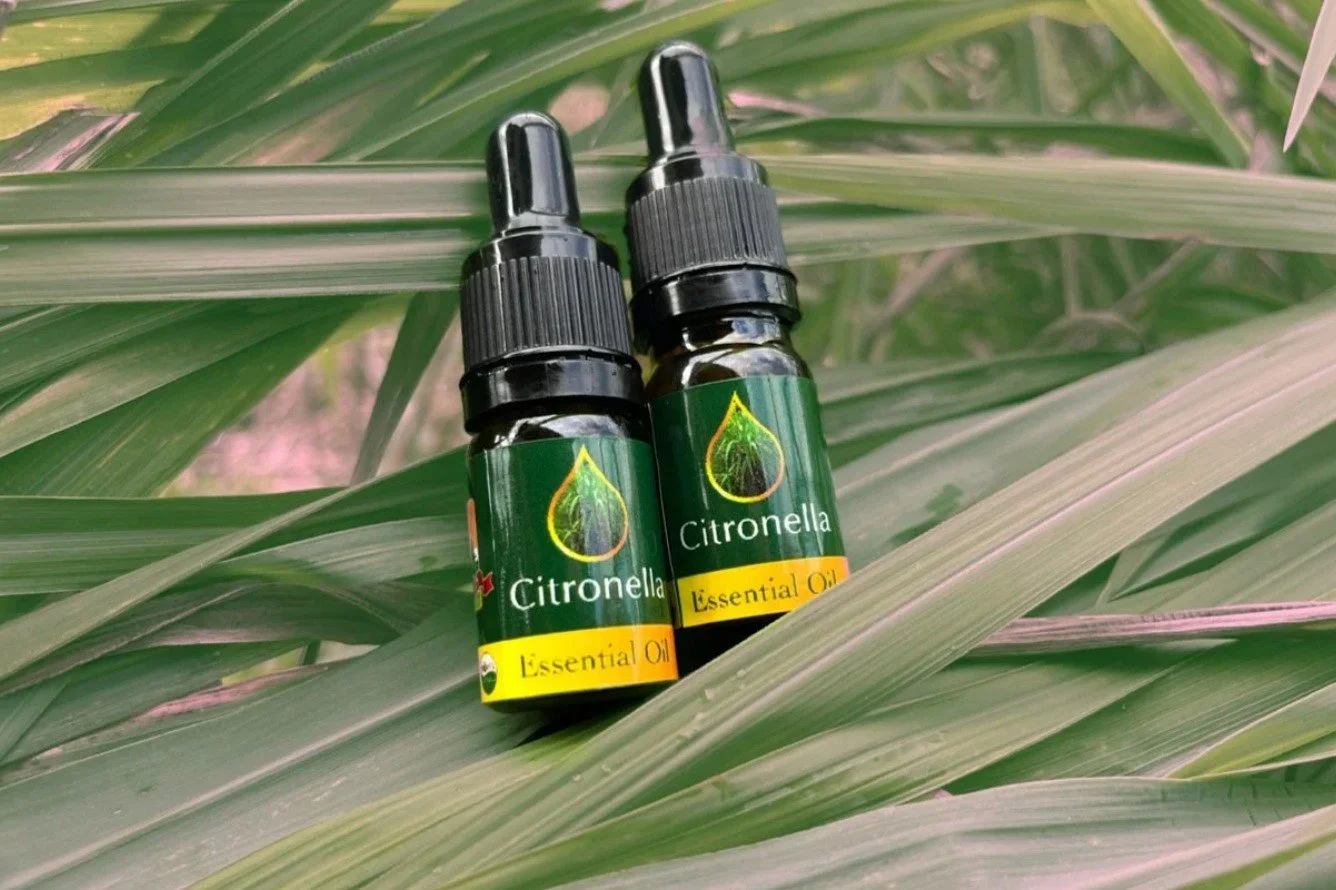Bali Organic_ Citronella Essential Oil 5ml.jpg
