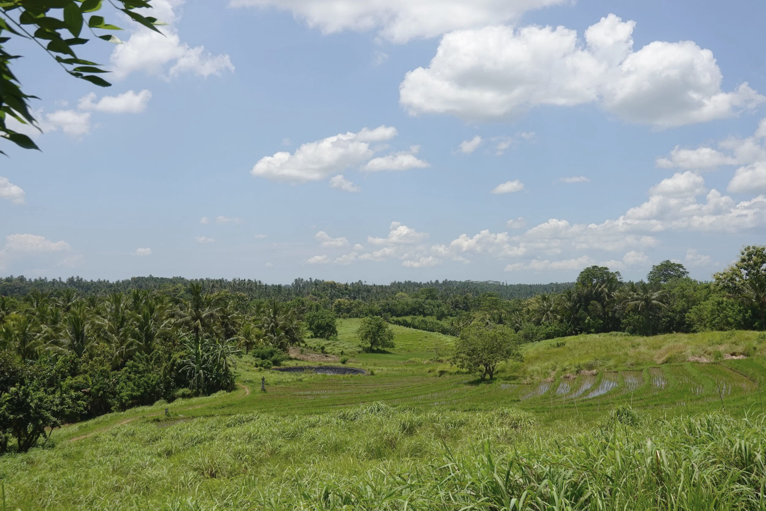 Kinar Village