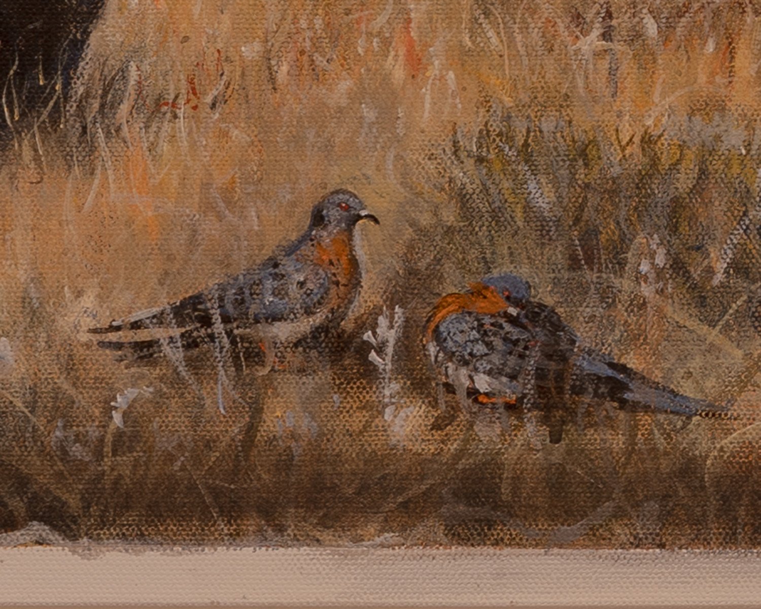 union station passenger pigeons.jpg