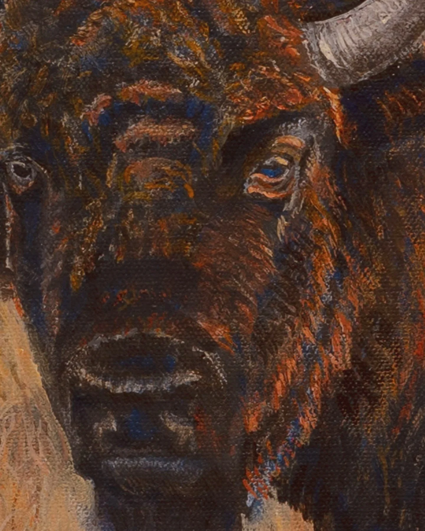 Close up of acrylic painting of bison face