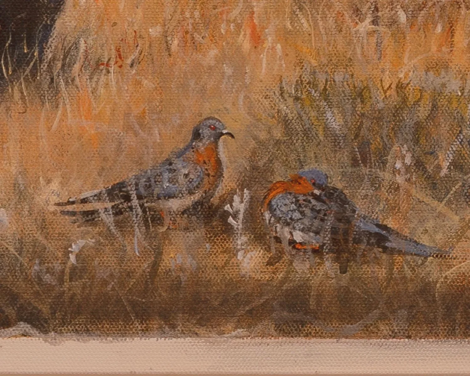 closeup of passenger pigeons in an acrylic painting