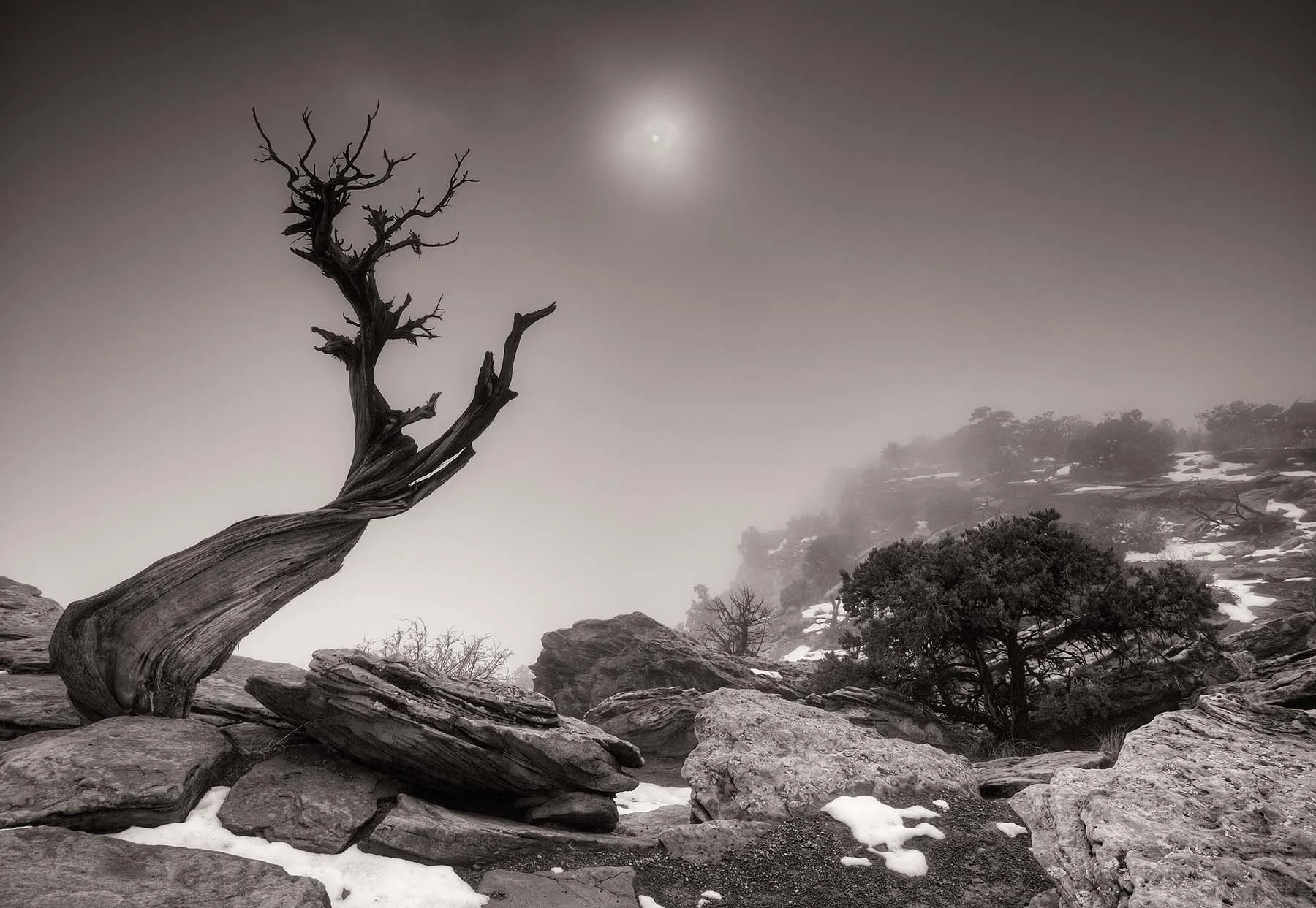 High Desert, Winter Light Fine Art Print